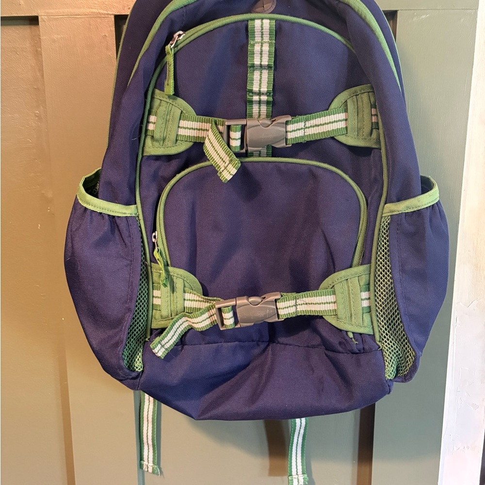 Pottery barn Kids Navy and Green Backpack